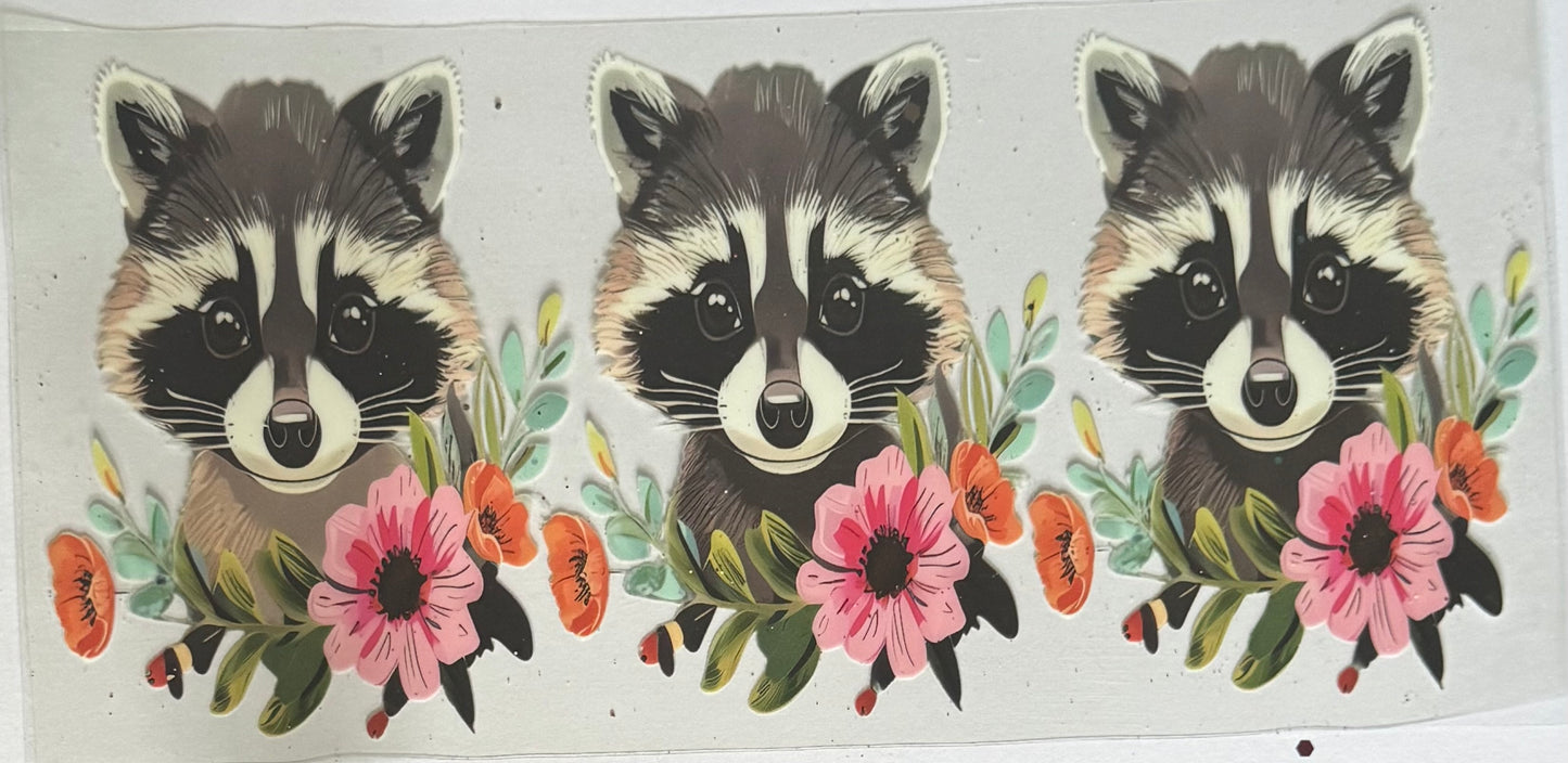 Raccoon